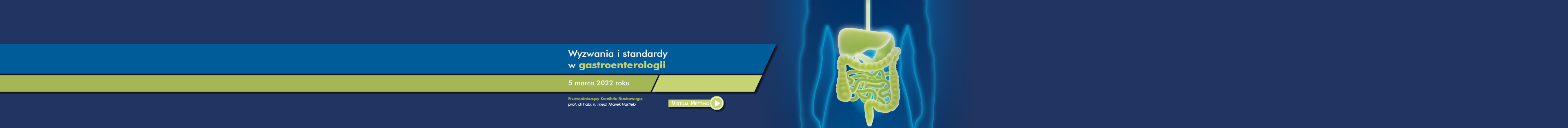 Wyzwania i standardy w Gastroenterologii 2022